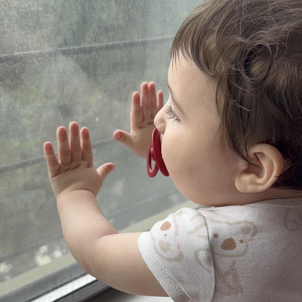 Gavi looking out window